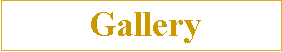 Text Box:  Gallery 